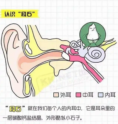 调整大小 微信图片_20230804155753.png