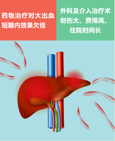 调整大小 微信图片_20230809092244.png